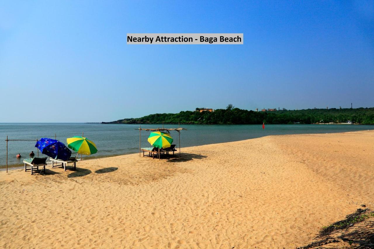 Collection O 400 Baga Circle Hotel Calangute